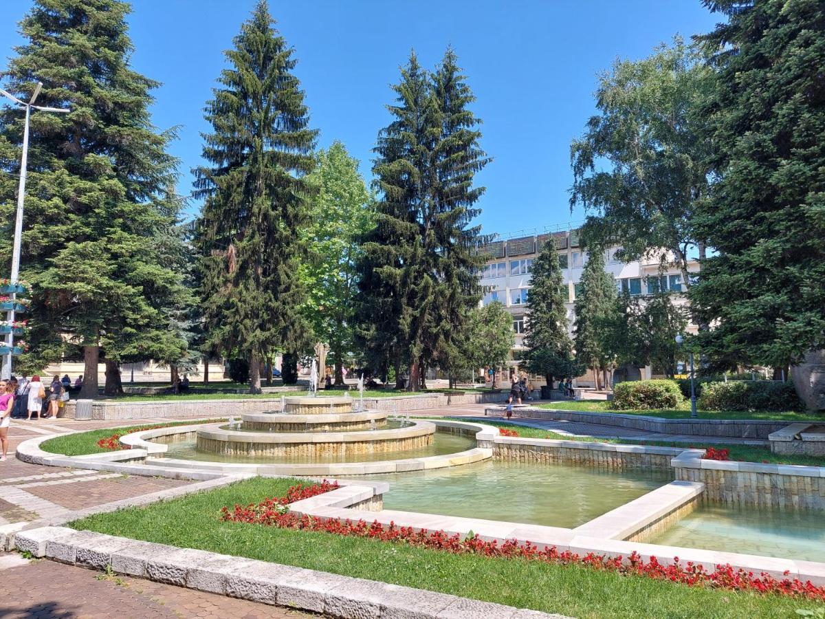 Дом Тодор И Тота Мутевски ترويان المظهر الخارجي الصورة